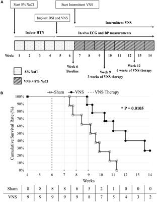 Chronic Low-Level Vagus Nerve Stimulation Improves Long-Term Survival in Salt-Sensitive Hypertensive Rats